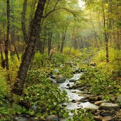 万博全站(ManBetX)