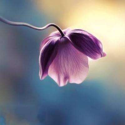 开元体育··官方网站截图